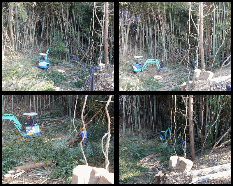 竹の伐採1