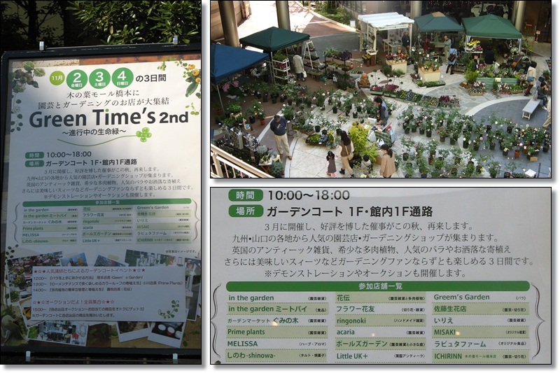 Green Time's  2ed-1